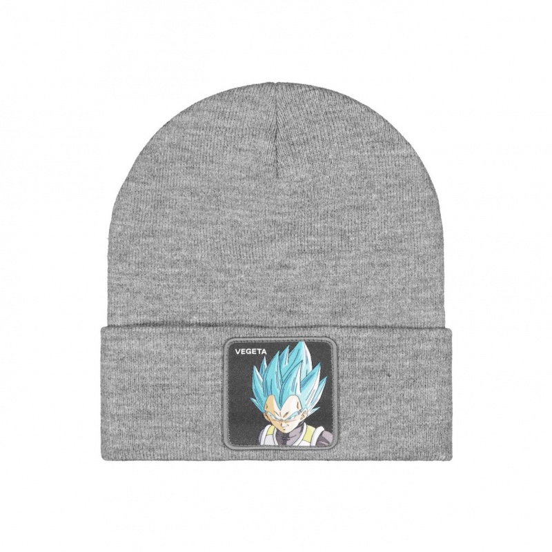 Dragon Ball Z Capslab Dragon Ball Z Hombre Gris | CO-749013-ITU